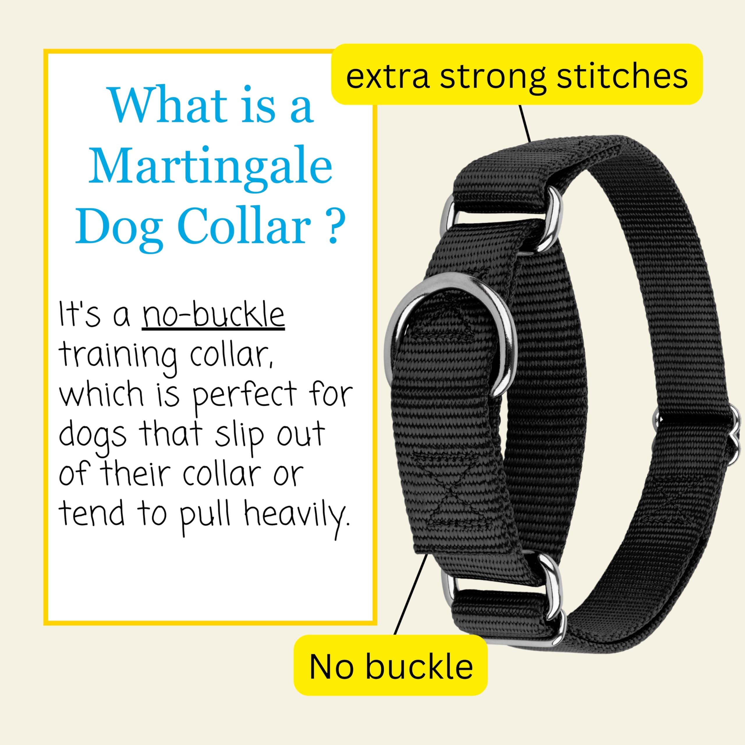 Bright colorfast dyes on Country Brook Petz martingale collar stay vibrant.