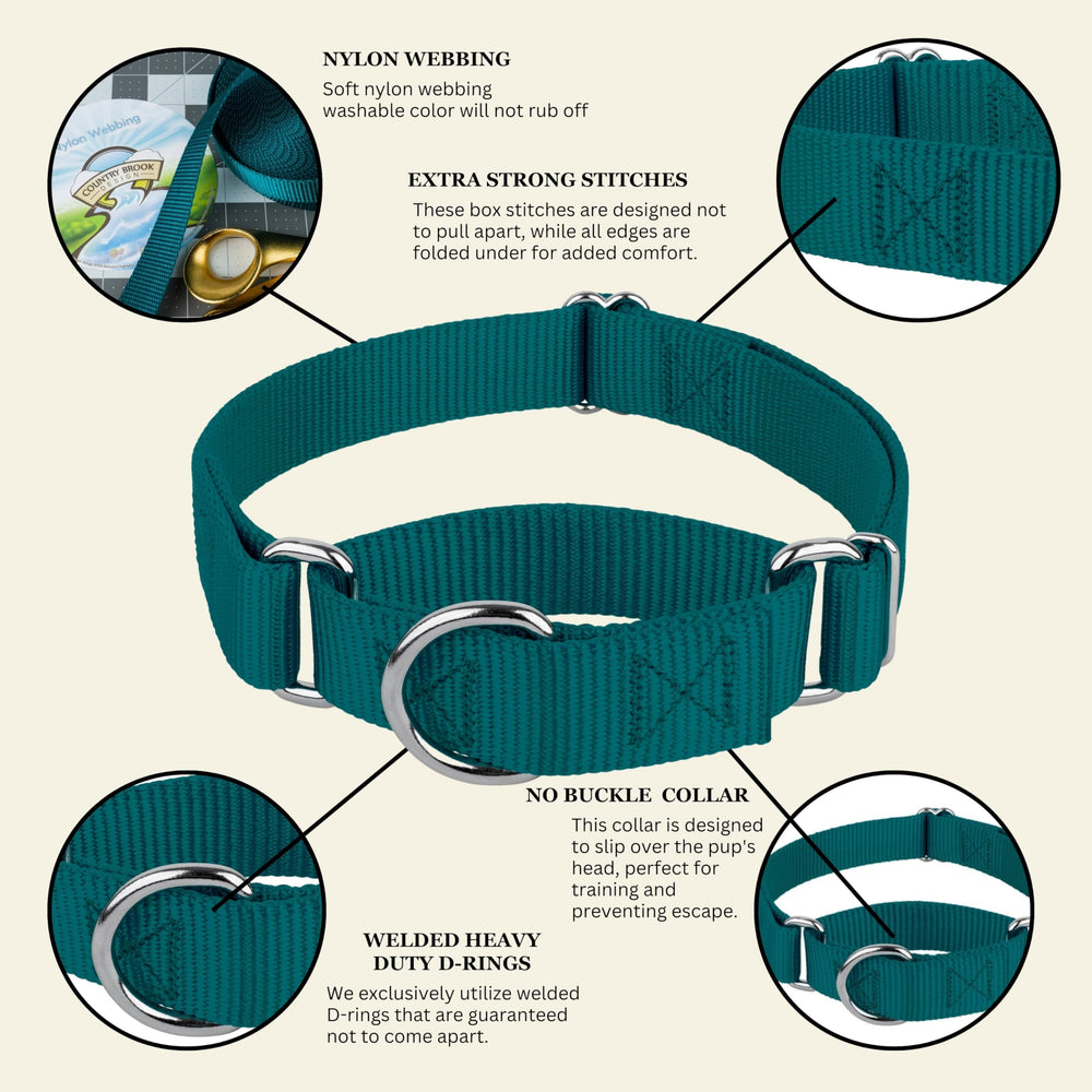 Country Brook Petz medium-neck-15-21 inch collar fits many medium breeds