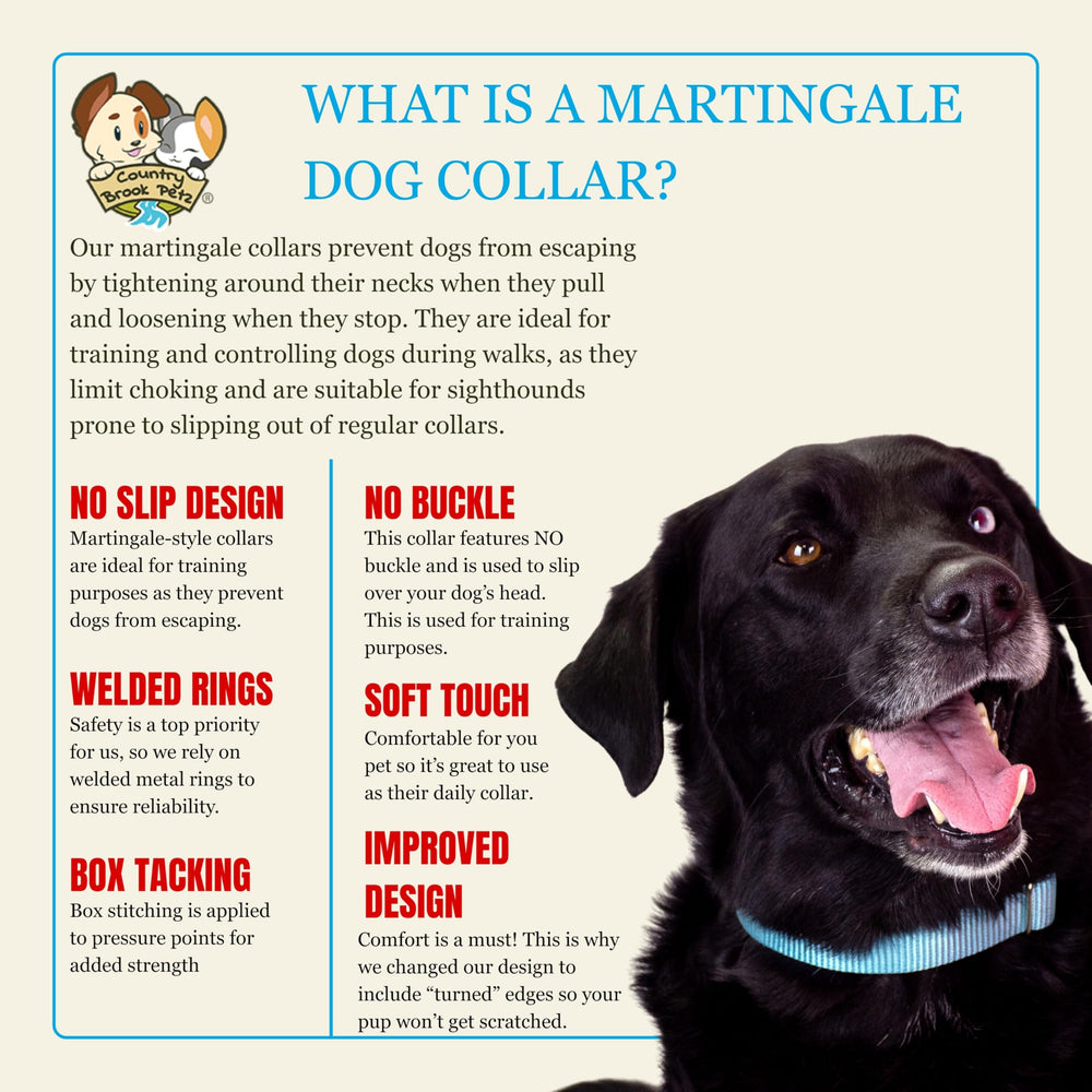Country Brook Petz USA-made collar highlights domestic craftsmanship and safety.
