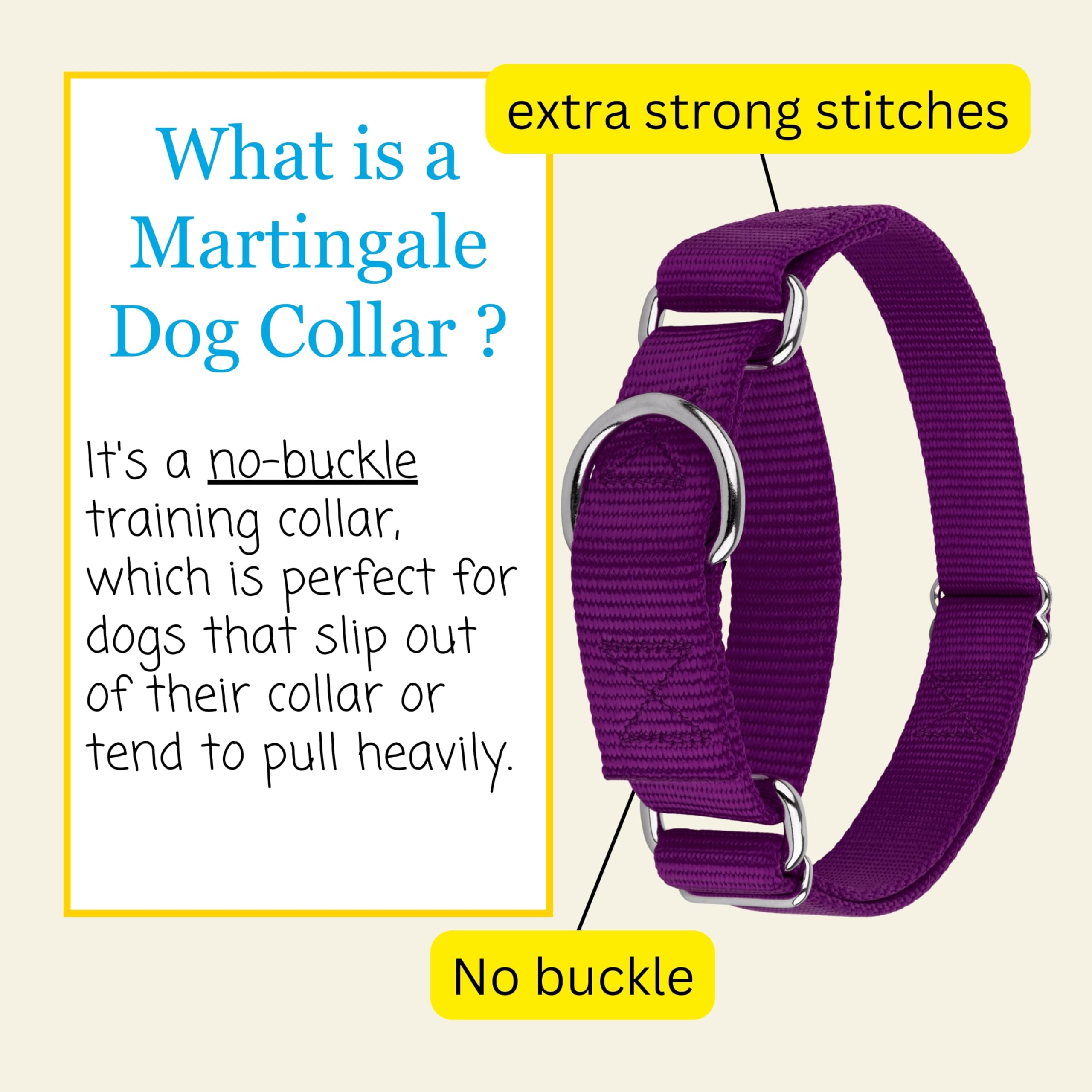 Country Brook Petz colorfast dye helps prevent fading on purple collar.