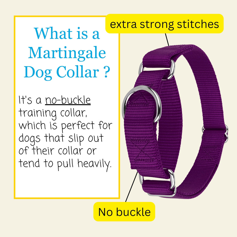 Country Brook Petz colorfast dye helps prevent fading on purple collar.