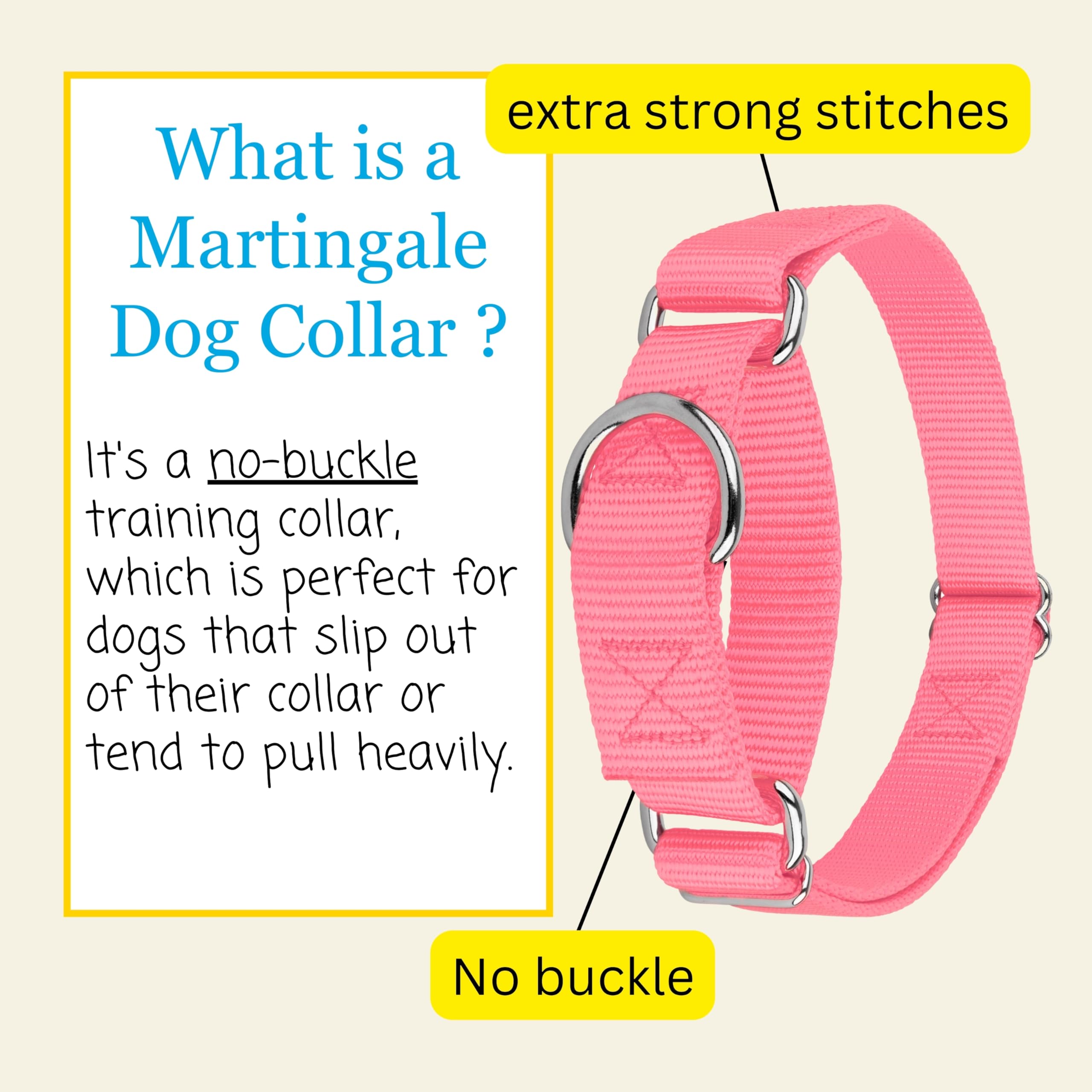 Country Brook Petz model wearing collar demonstrating secure fit and style