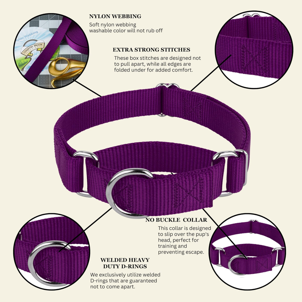 Country Brook Petz M-size collar provides snug medium fit.