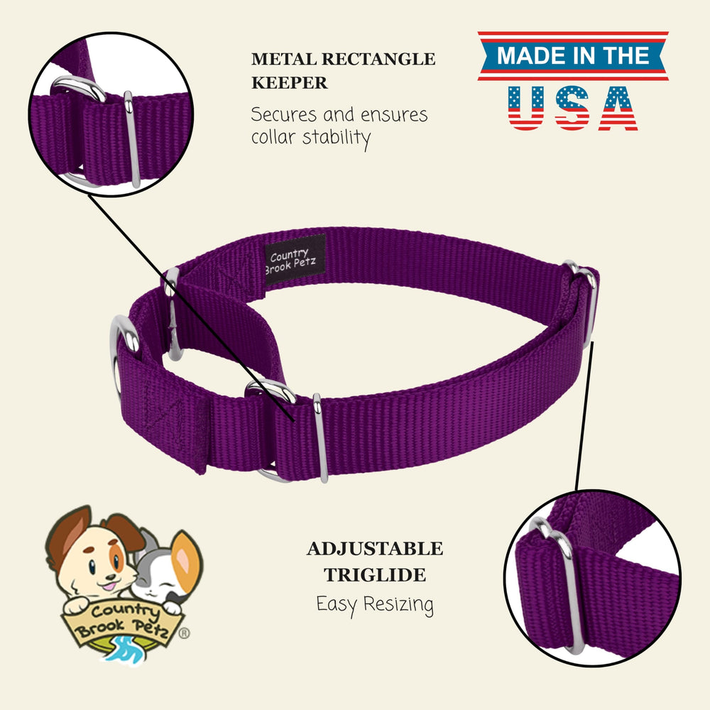 Country Brook Petz no-tie-out design during daily walks.