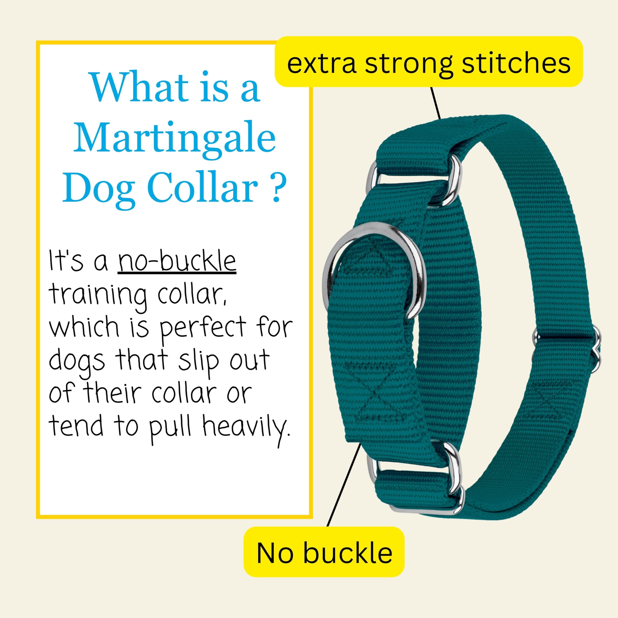 Country Brook Petz nylon-webbing-collar-teal combines softness with durable everyday use