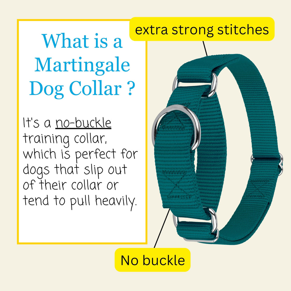 Country Brook Petz nylon-webbing-collar-teal combines softness with durable everyday use