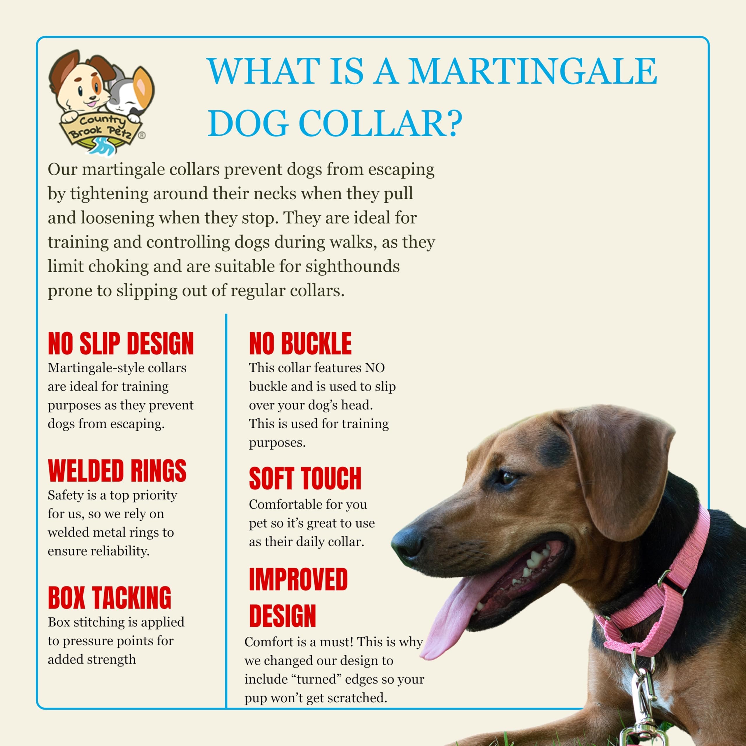 Country Brook Petz service-dog training collar ready for daily practice