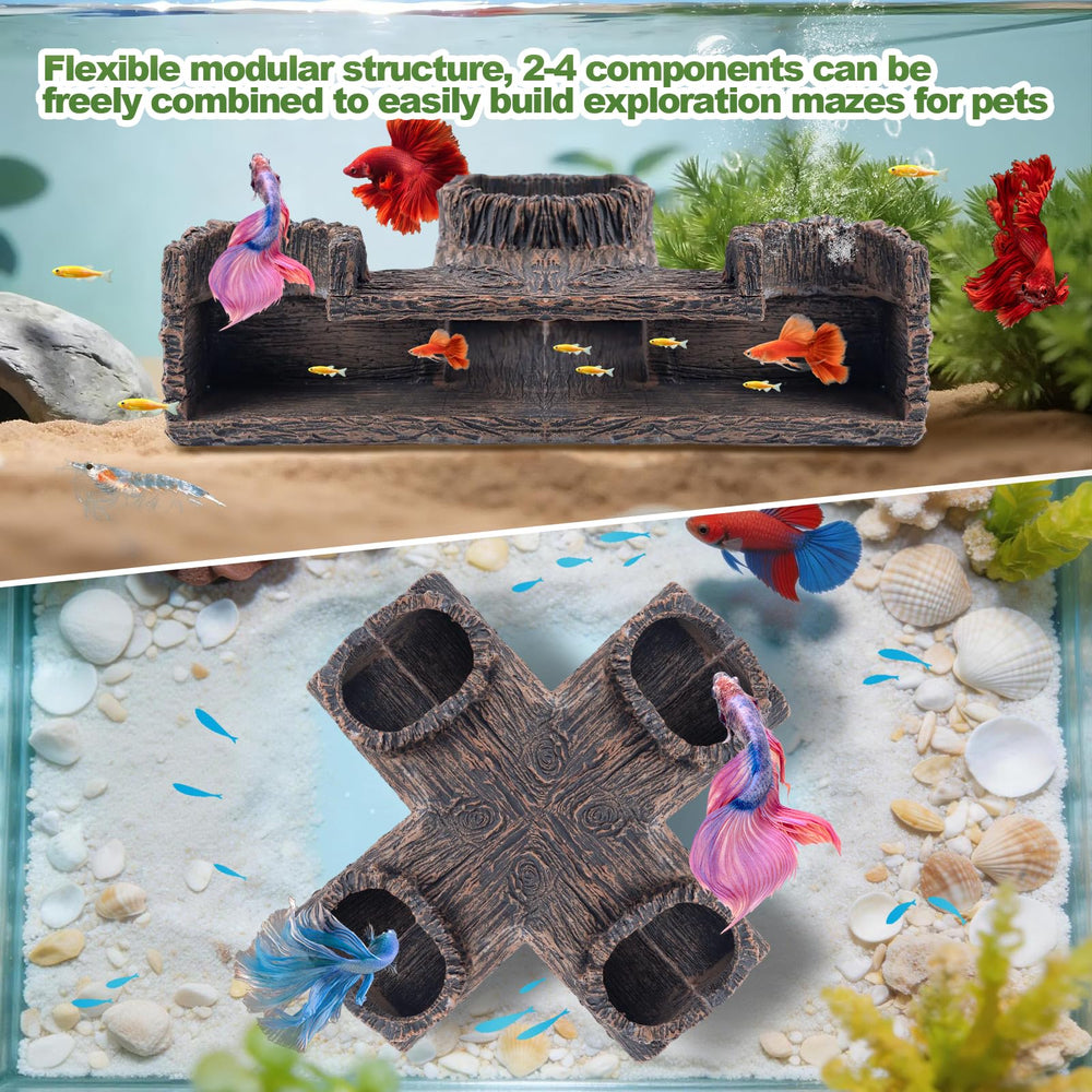 CousDUoBe pairs well with shrimp, tetras, and snails for lively scenes