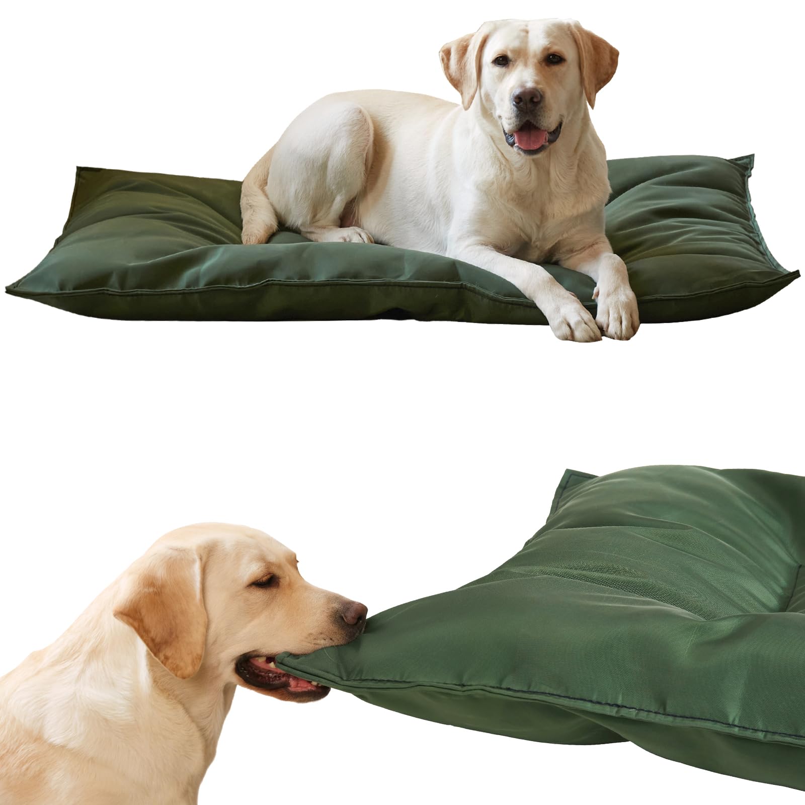 Couzssyhi chew-proof bed in green, resistant to nibbling and tearing.