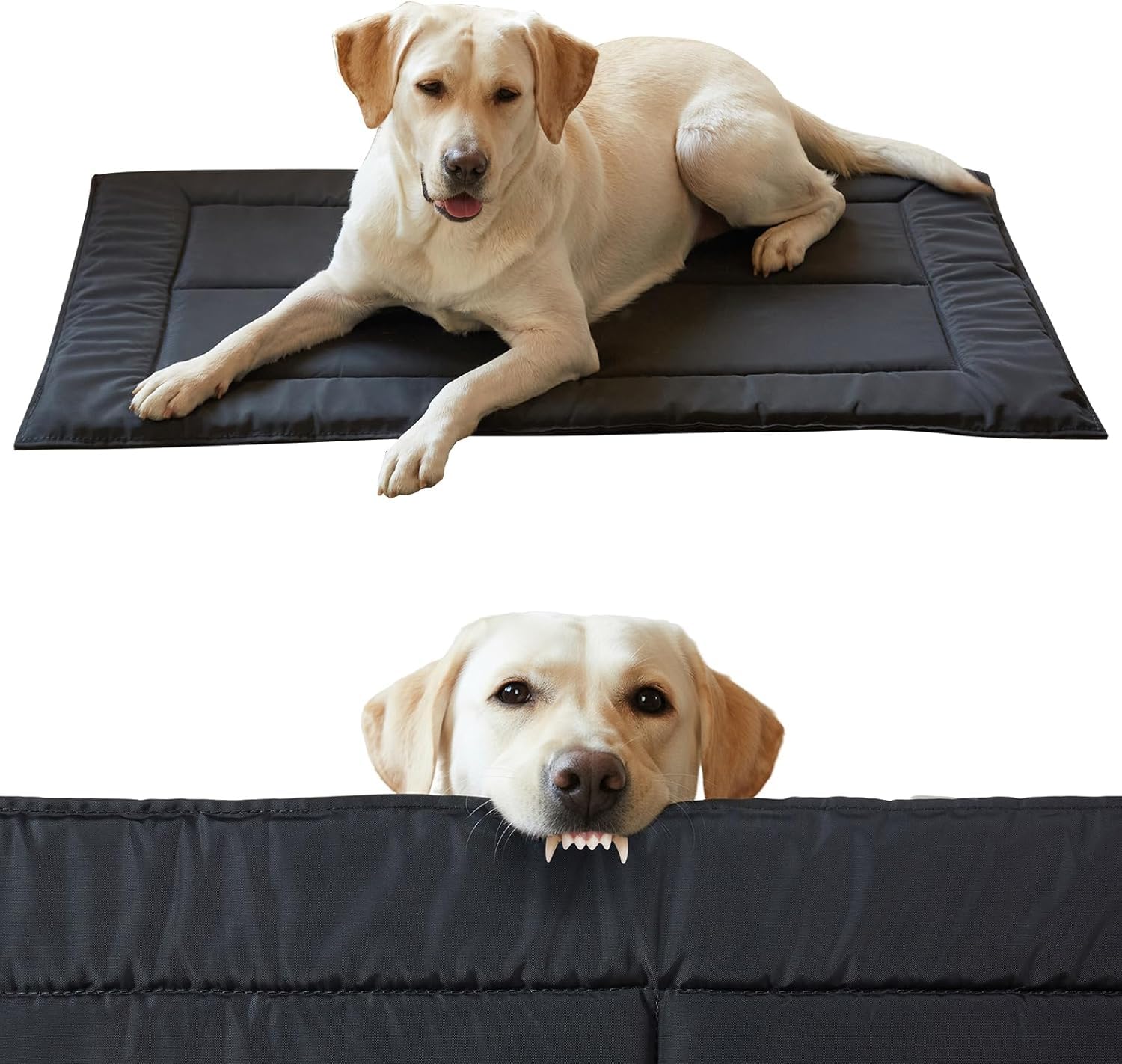 Couzssyhi chew proof bed top view highlights durable fabric
