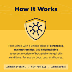 Ceramides in Covetrus CeraSoothe CHX Shampoo help protect the skin barrier