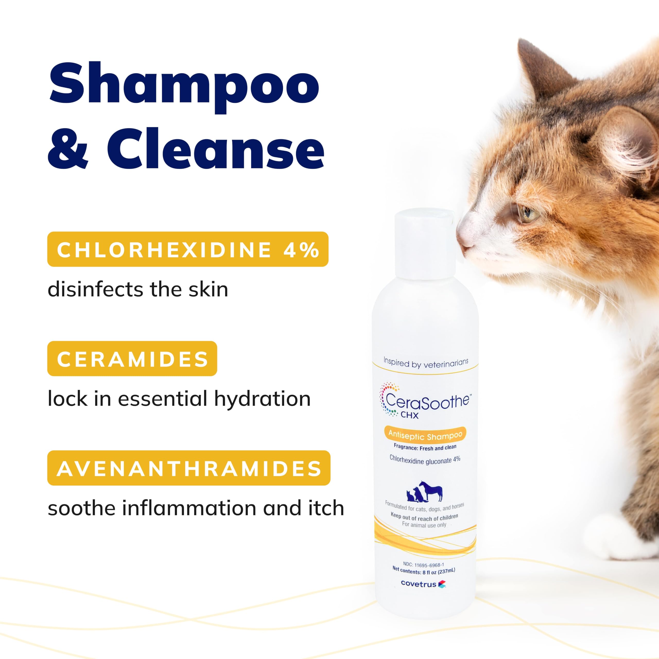 Moisturizing suds from Covetrus CeraSoothe CHX Shampoo hydrate without harsh soaps