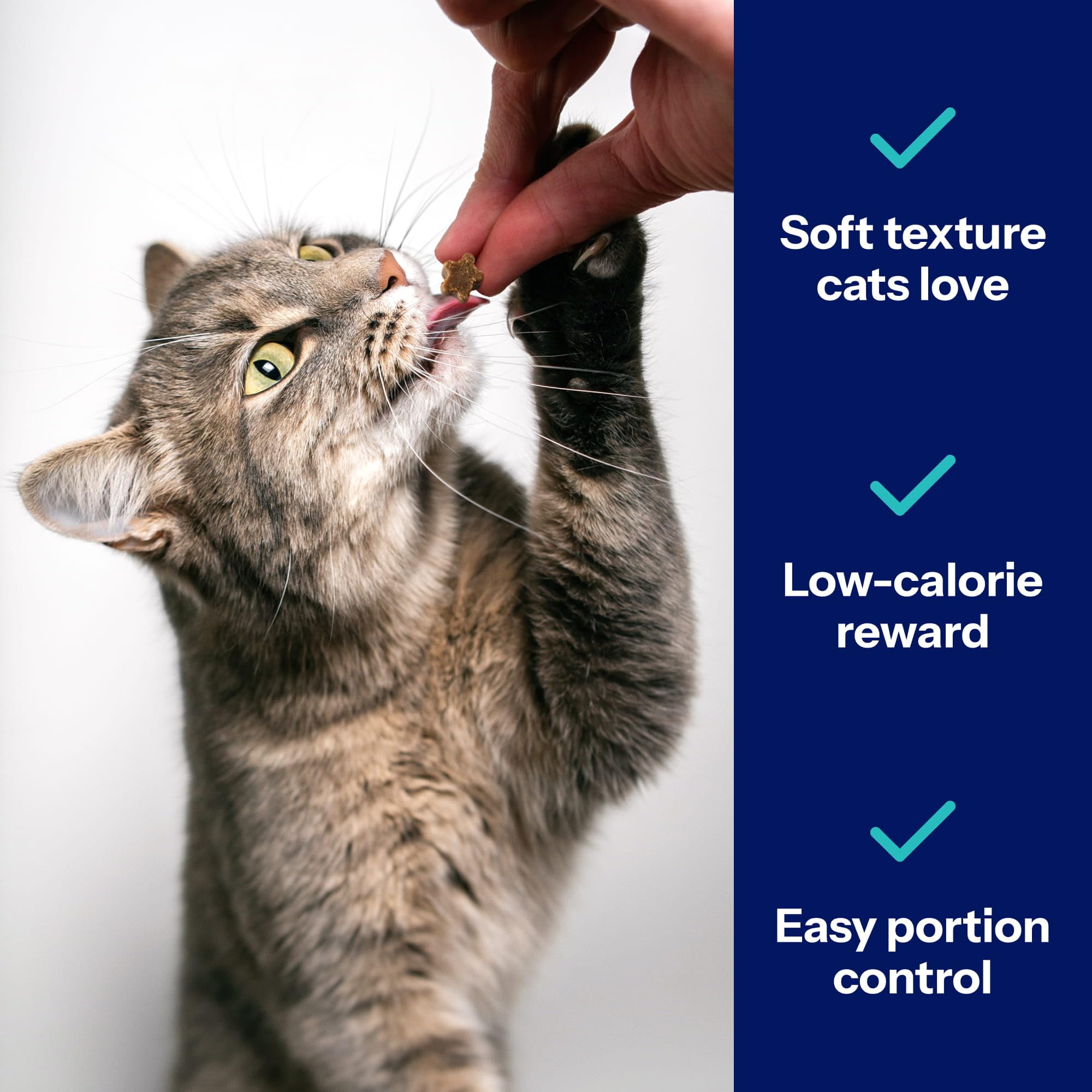 Covetrus Nutrisential Lean Treats provide 3 calories per piece.