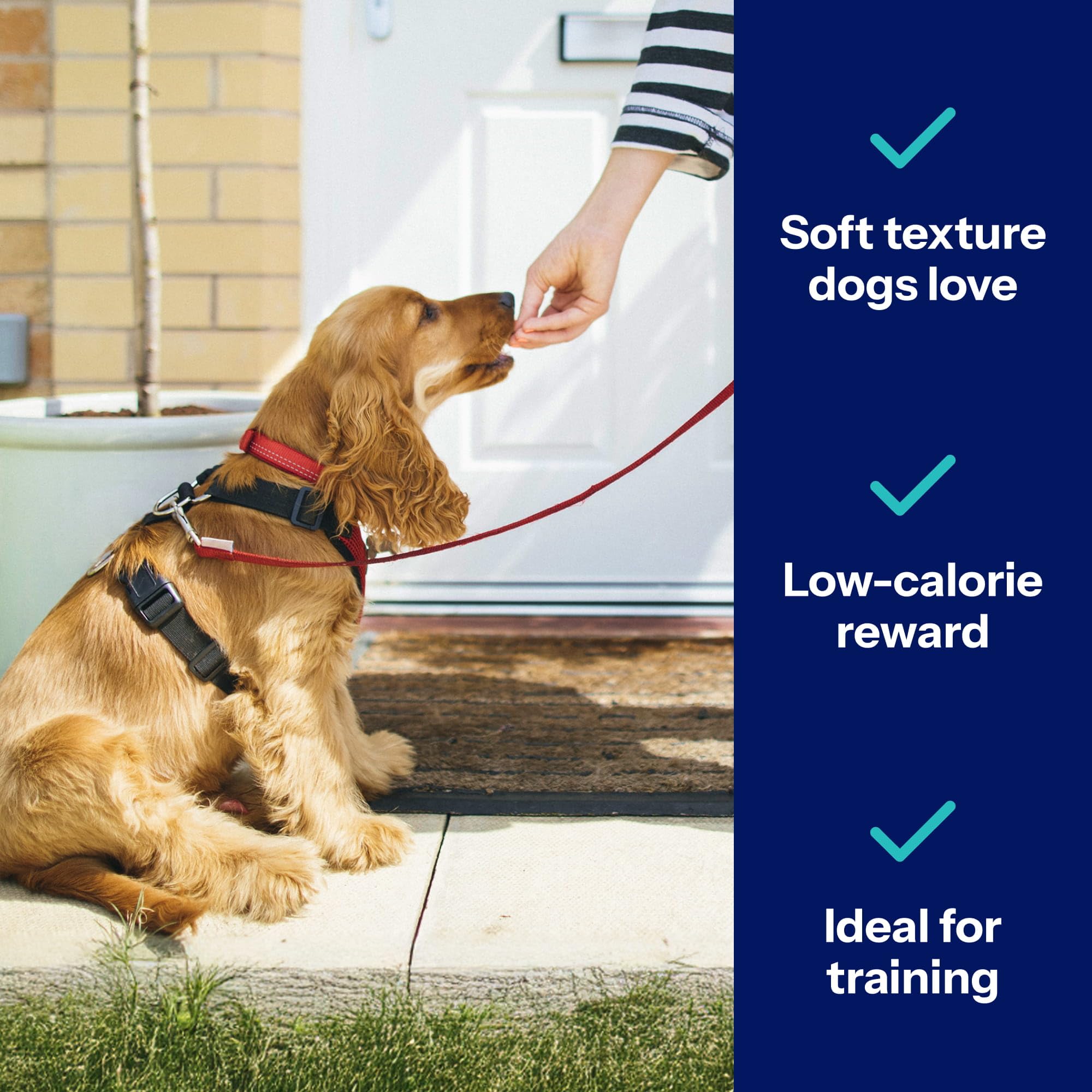 Covetrus NutriSentials small-dog friendly size supports easy rewards.