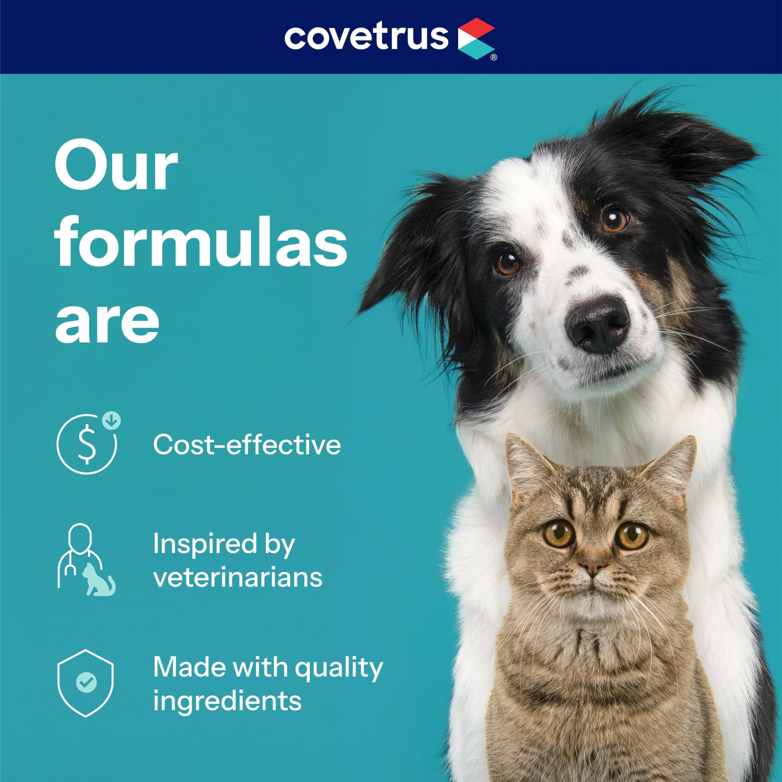 Covetrus NutriSentials Trusted Trainers in a training session with a dog.