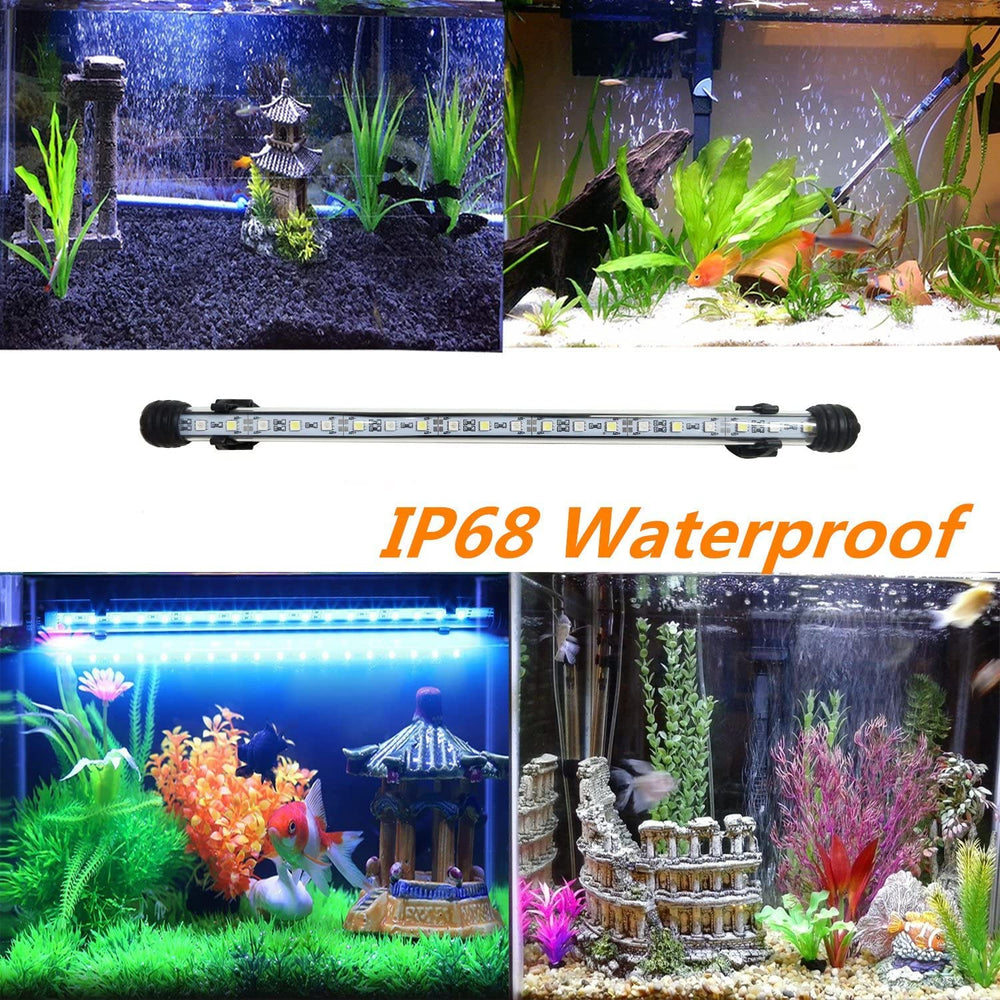 COVOART high-brightness LEDs provide crisp illumination for larger tanks