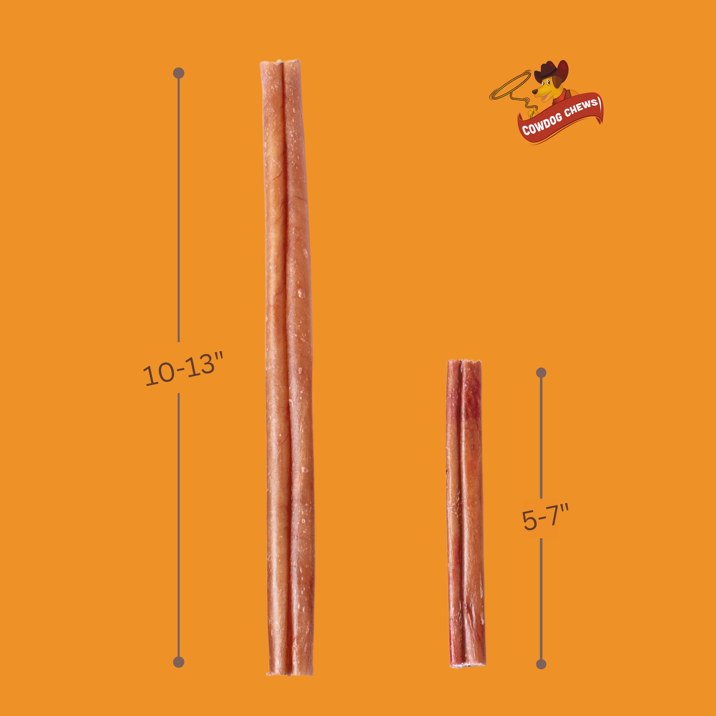 Cowdog Chews Beef Bully Stick digestible collagen chew ideal for shared play