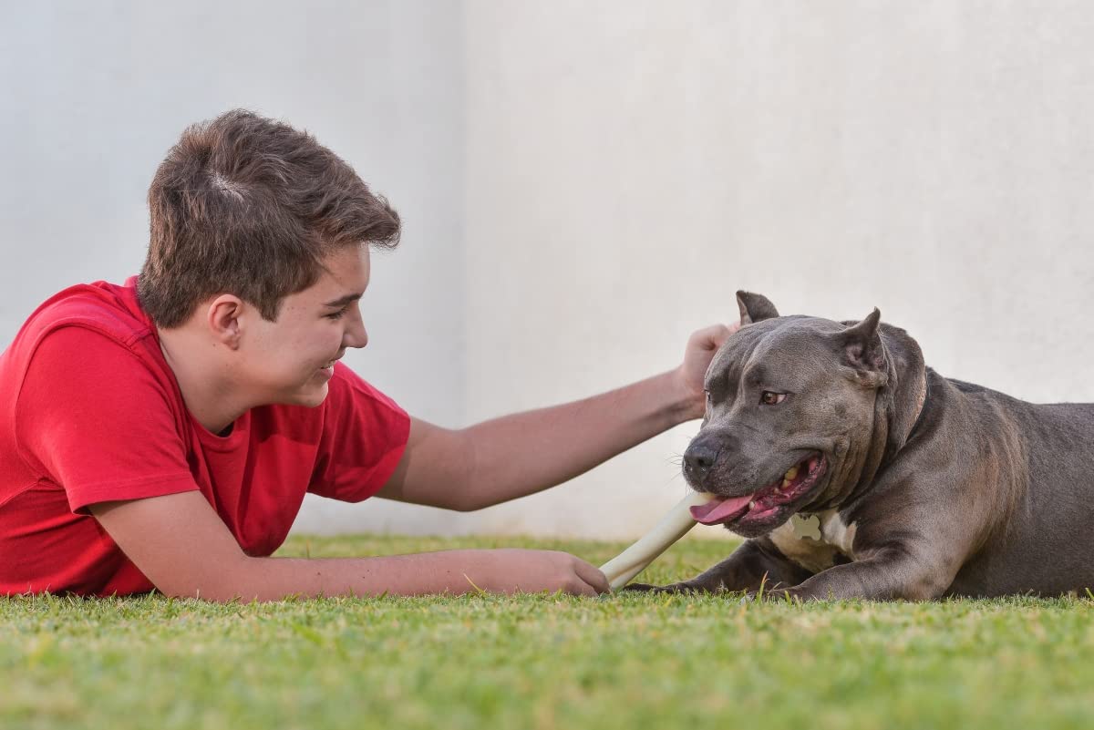 Cowdog Chews collagen-rich chew close-up emphasizes premium texture.