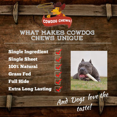 Cowdog Chews pasture-raised cattle source image, responsibly sourced chew.