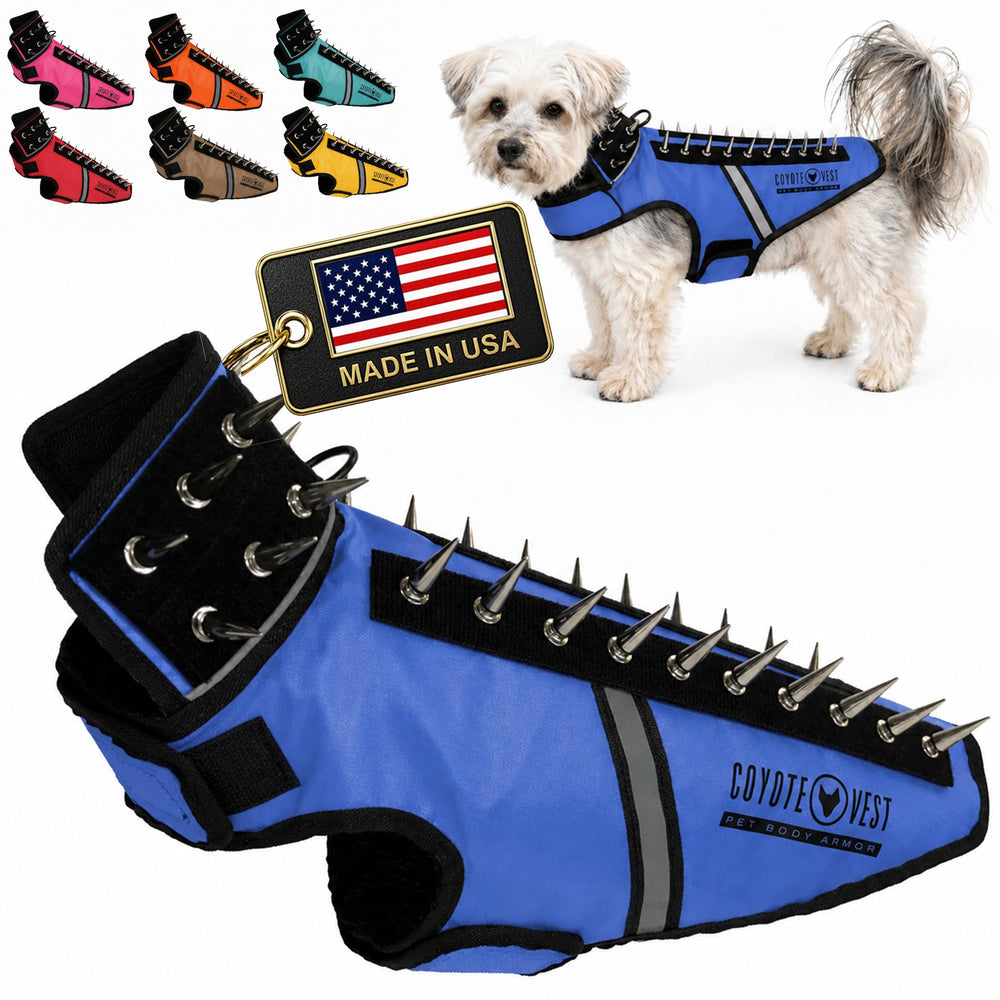 CoyoteVest SpikeVest front view on a dog for added protection during outdoor walks