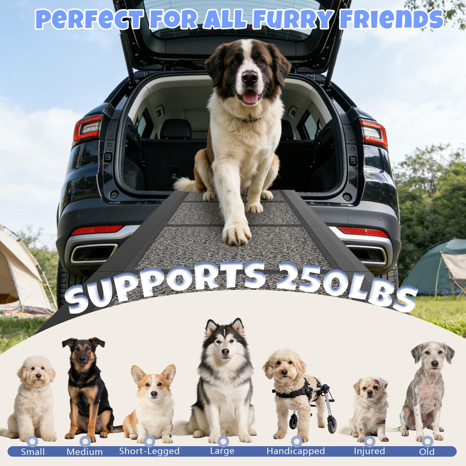 Includes safety rope with stainless steel buckles for extra security
