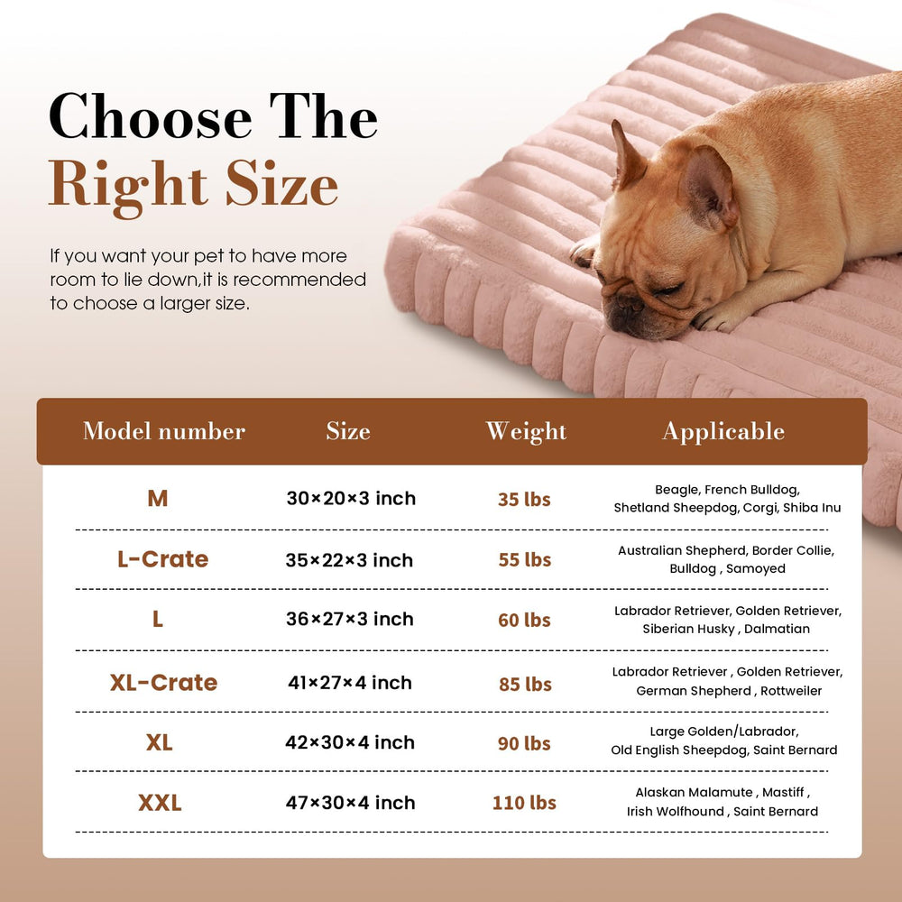 Crate size options ensure a snug fit for various dog breeds.