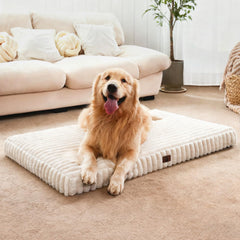 Cozila dog bed with cloud-like support for joints and comfort.