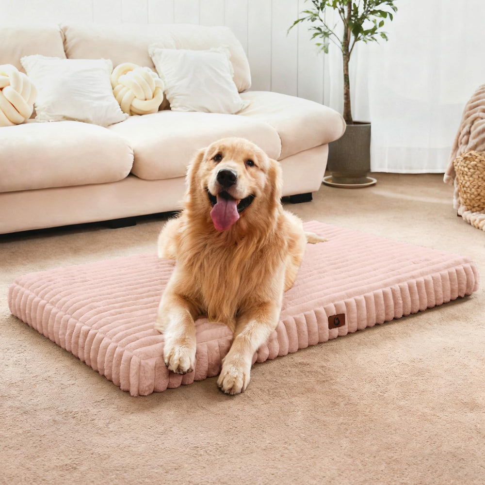 Cozila large dog bed with egg crate foam for joint support