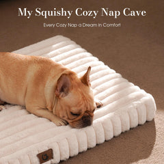Cozila dog bed with soft short plush surface for cozy lounging.