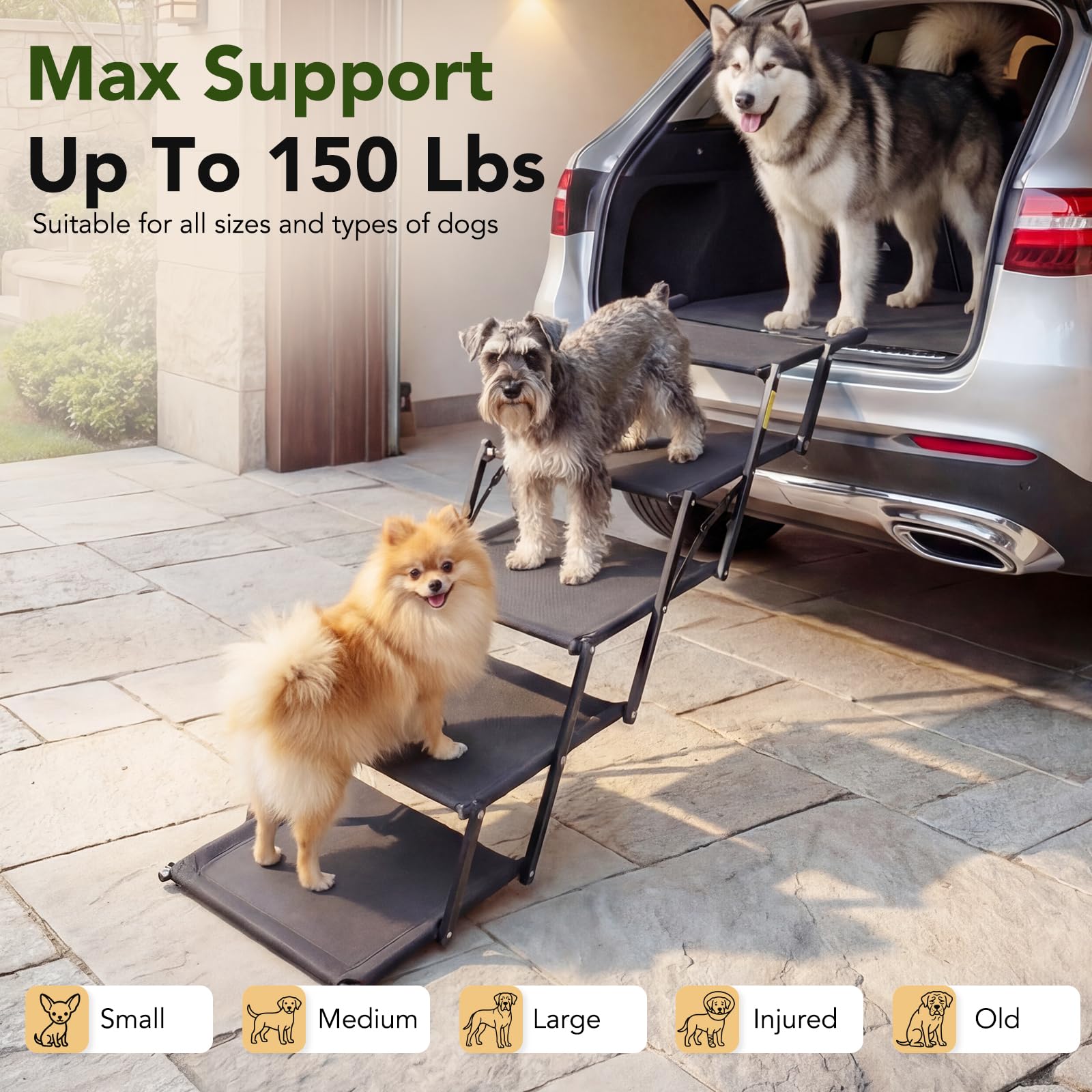 Cozila safety buckle keeps stairs attached to car for safer pet entries