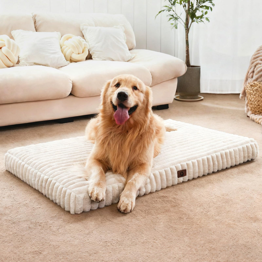 Cozila extra large dog bed with cloud-like support for joints and hips.