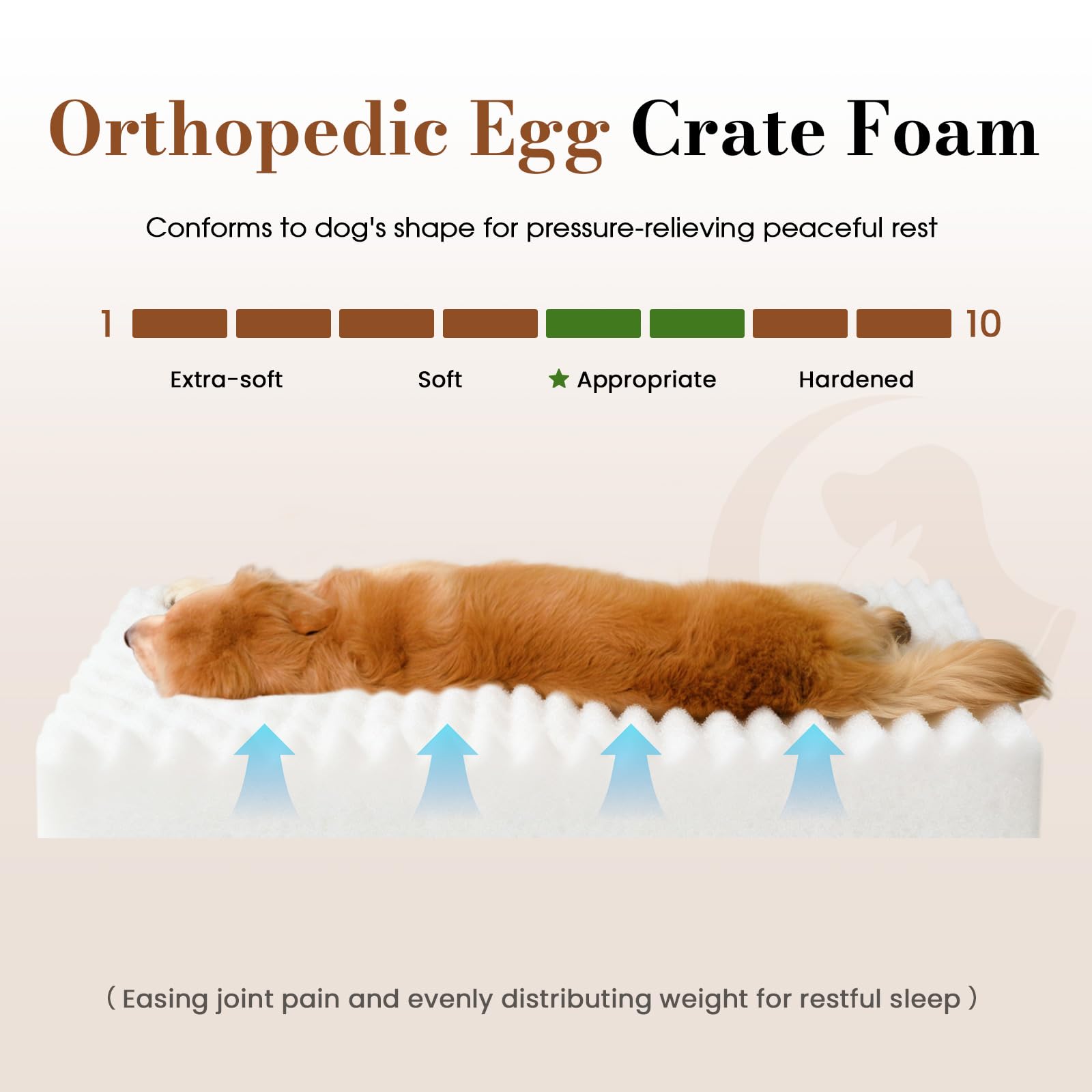 Cozila Extra Large Dog Bed egg crate foam provides supportive comfort.