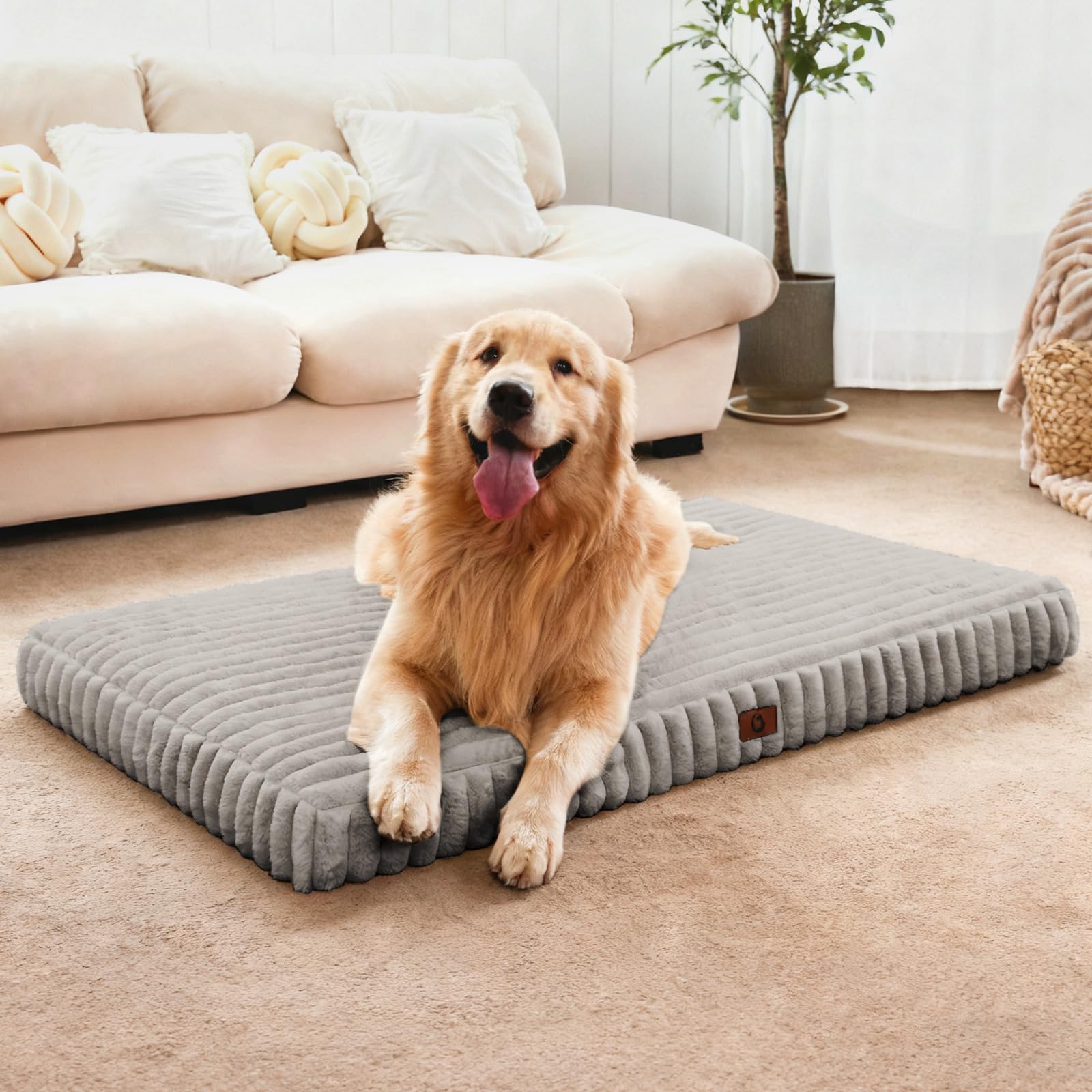 Cozila large dog bed with cloud-like support for joints and comfort.
