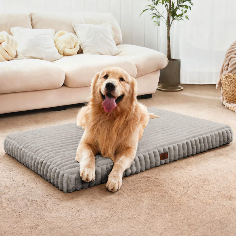 Cozila large dog bed with cloud-like support for joints and comfort.