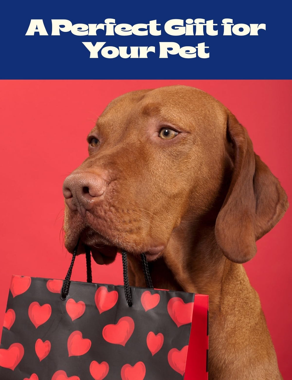 Cozinus dog headphones non-slip edges ensure secure fit during activity.