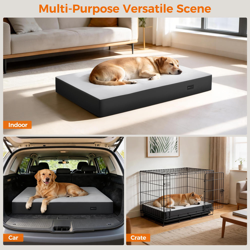 COZCIENCE dog on bed for scale demonstrates ample sleeping space