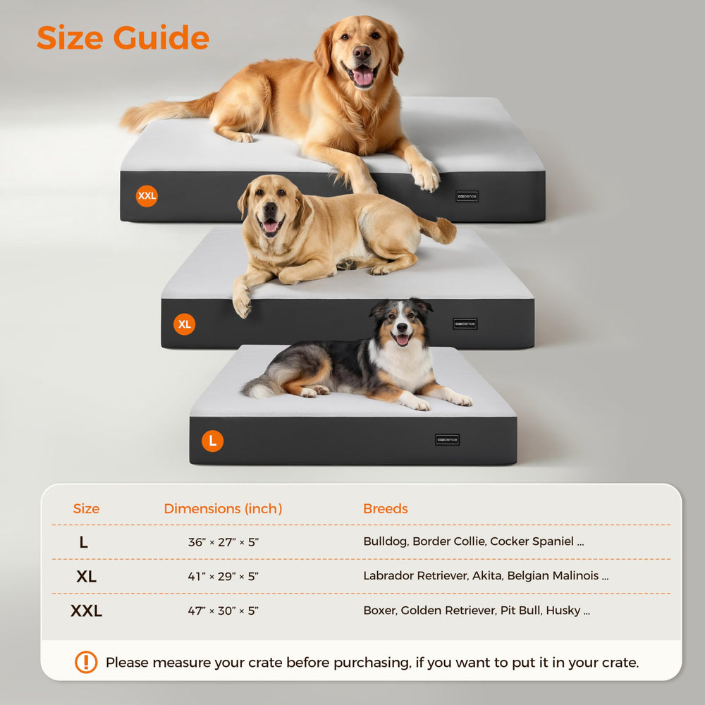 COZCIENCE orthopedic bed ideal for medium to large breeds
