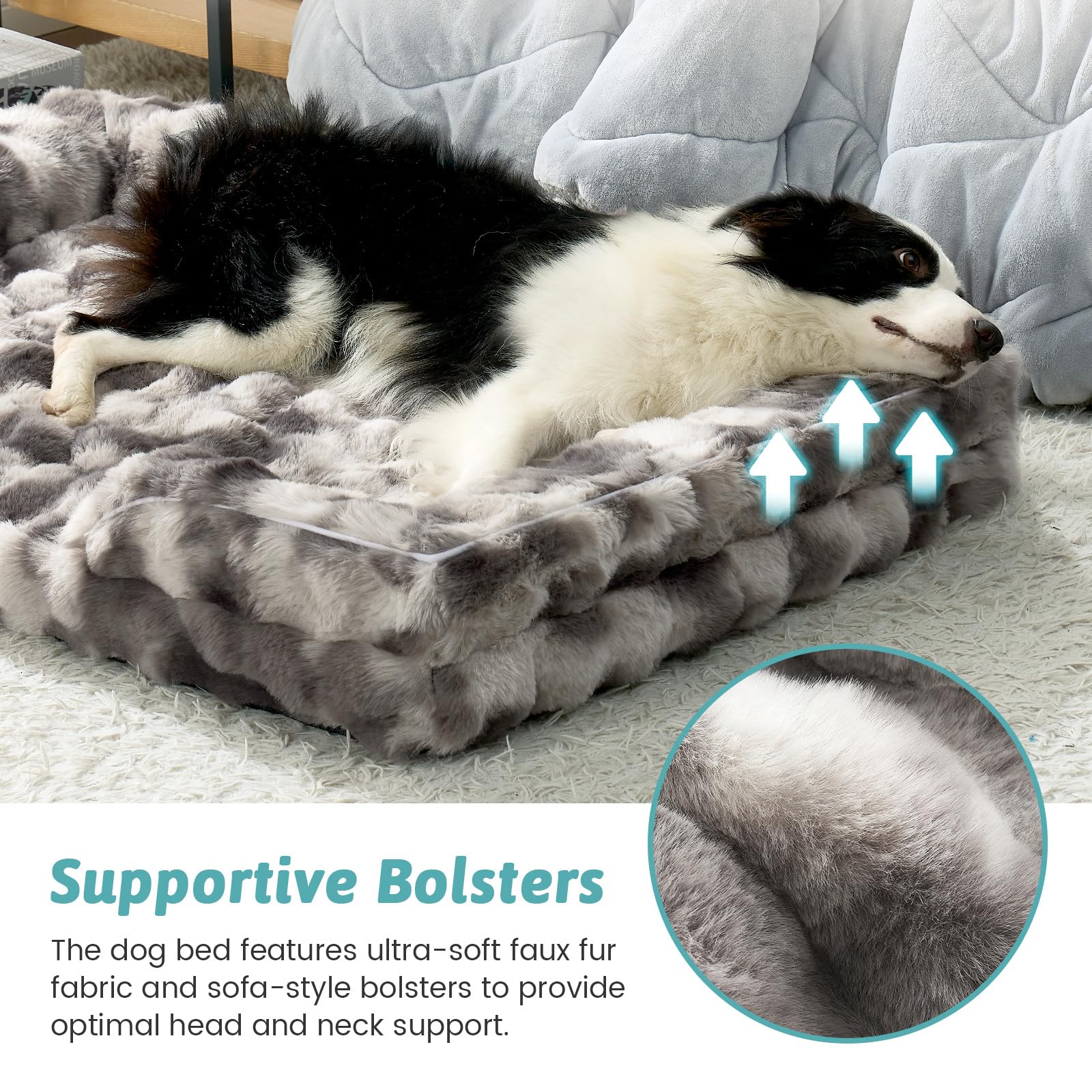 COZY KISS-dog-bed-setup-living-room fits large breeds in cozy spaces.