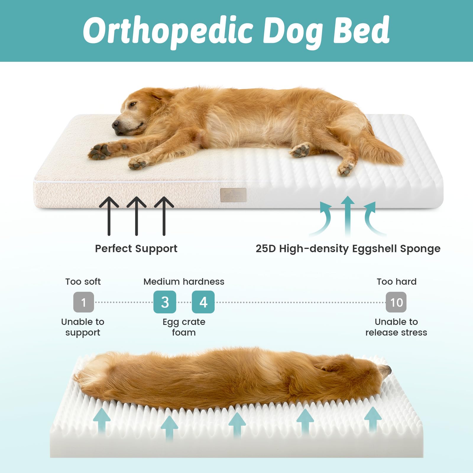 Cozy Kiss orthopedic-foam bed side view showing high-density support.