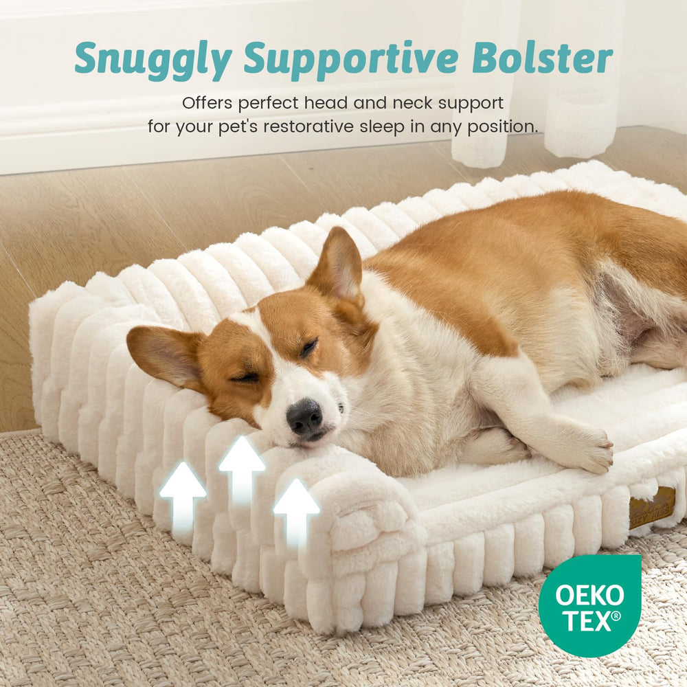 COZY KISS cream color small dog bed in modern home