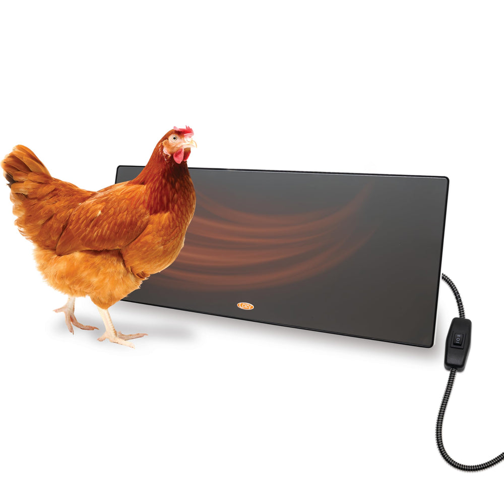 Cozy Coop flat panel heater provides efficient radiant warmth for poultry in a coop.