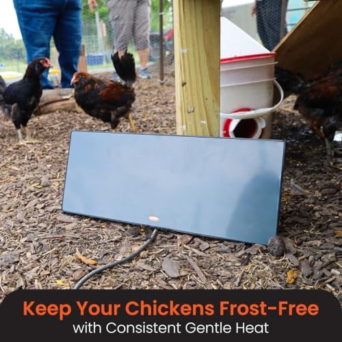 Cozy Coop wall-mount setup demonstrates space-saving placement in a small coop.