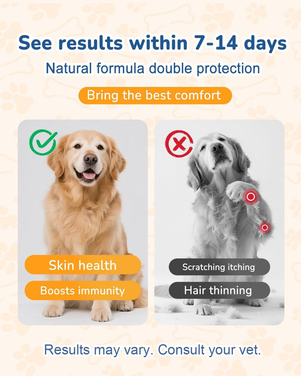 Cozyfun Dog Allergy Chews dog enjoying a chew during daily routine