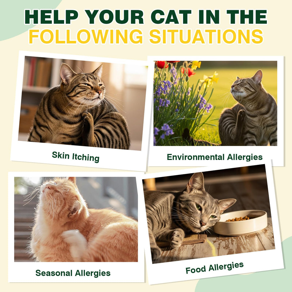 CPFK Skin and coat health support from cat allergy chews