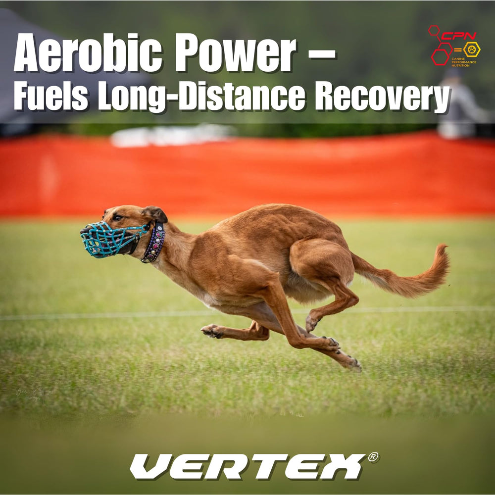 CPN Vertex formula with glucosamine and antioxidants for joints.