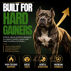 CPN Weight Boost dog from side eating showing palatable formula for active pups energy.