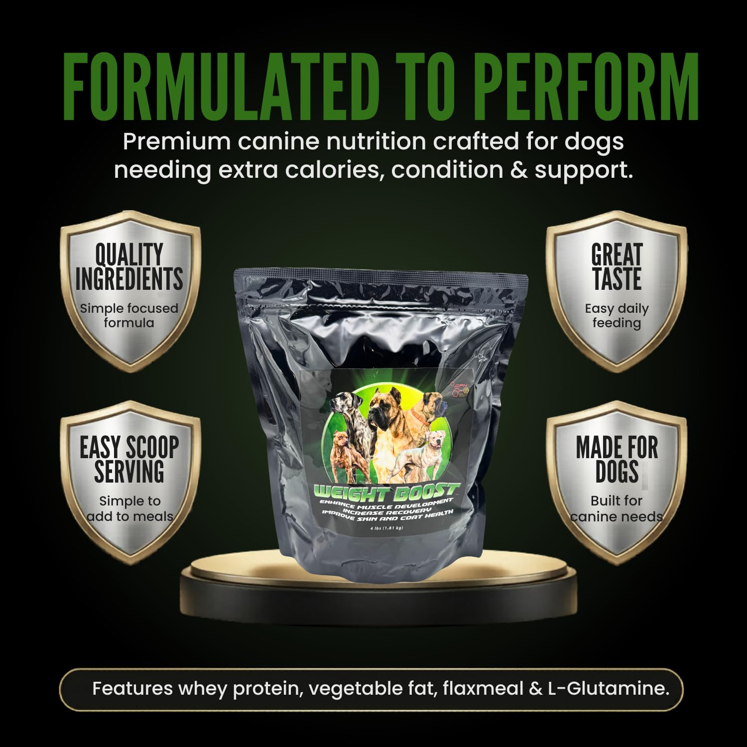 CPN Weight Boost dog energetic play scene highlighting energy support.