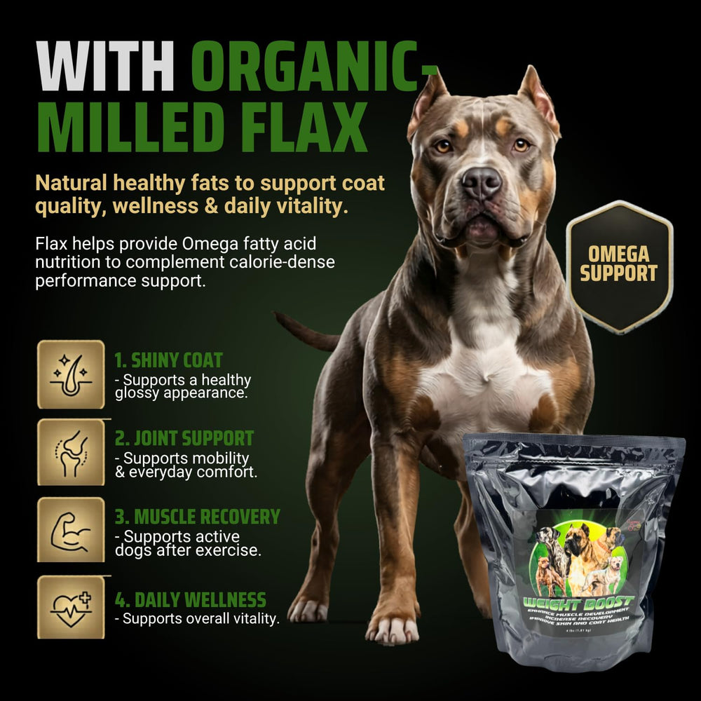 CPN Weight Boost packaging 2lb showing convenient bulk option.