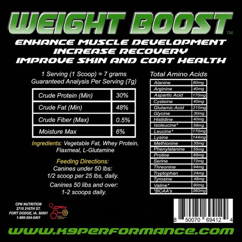 CPN Weight Boost recovery-ready dog image suggesting post-illness rebuilding.