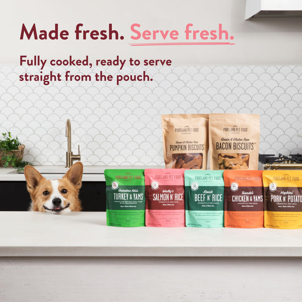 Wally's Salmon N' Rice poured over kibble as a mixer